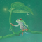 Froggy Friend Sport + Lunchbox - Swatch