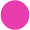 Sport Kokomo Insert + Lunchbox