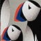 Playful Puffins Sport + Lunchbox - Swatch